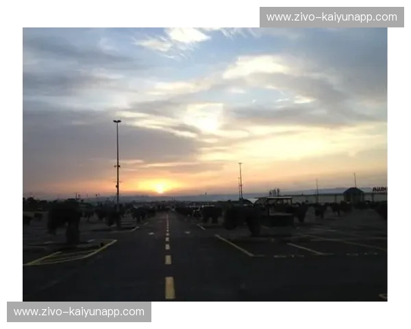 绝地反击与异军突起：探寻韩国与阿尔及利亚绿茵战火后的精神内核